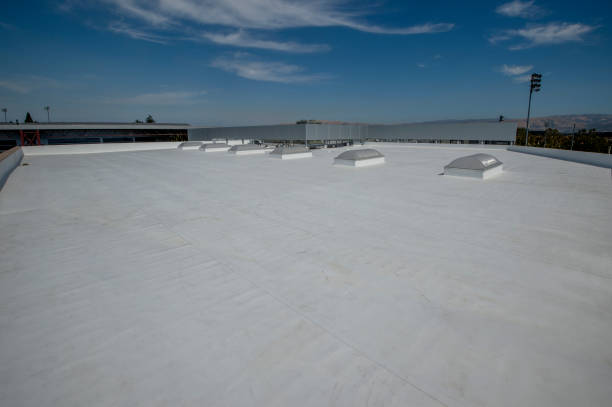 Best Flat Roofing  in Wartburg, TN