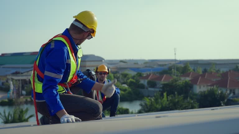 Best Metal Roofing Installation  in Wartburg, TN