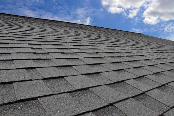 Best Roof Insulation Installation  in Wartburg, TN